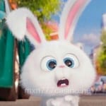 Avatar de Carla Rivera